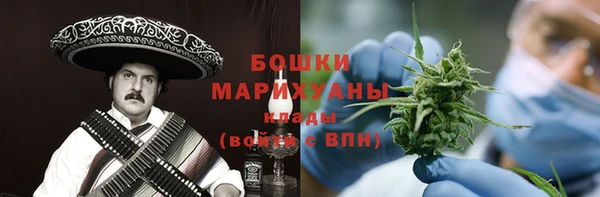 сатива Горно-Алтайск