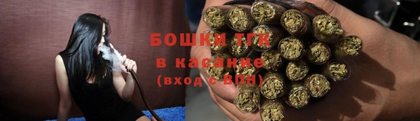 хмурый Горняк