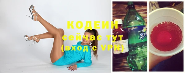 хмурый Горняк