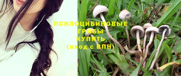 mdma Горнозаводск