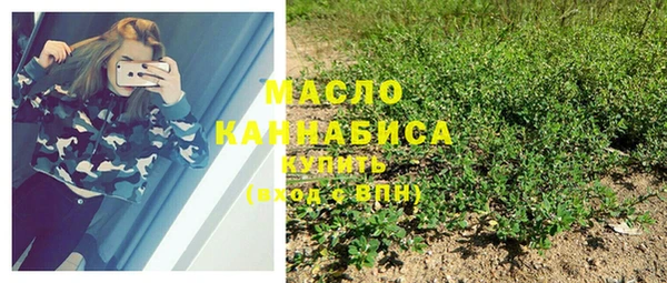 сатива Горно-Алтайск