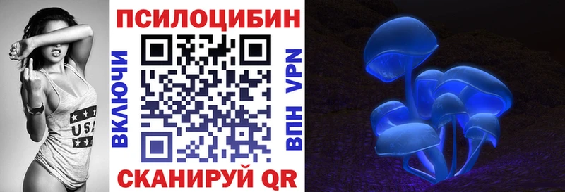 Галлюциногенные грибы мухоморы  продажа наркотиков  МЕГА маркетплейс  Копейск 
