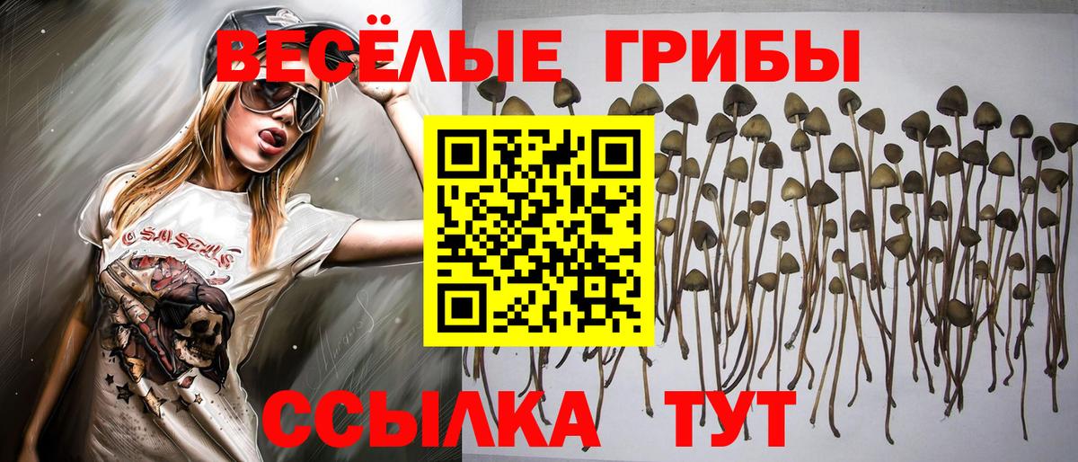 Псилоцибиновые грибы ЛСД  Псилоцибиновые грибы MAGIC MUSHROOMS  Вход с VPN  Копейск 